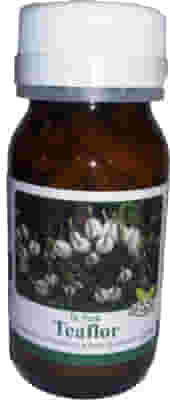 DR POCK TEAFLOR 50 CAPSULE