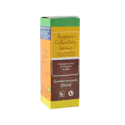ARGENTO COLLOIDALE IONICO 40PPM CERTIFICATO 500 ML