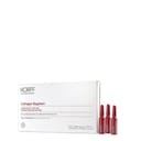 KORFF COLLAGEN AGE FILLER FIALE 7 GIORNI 7X1ML