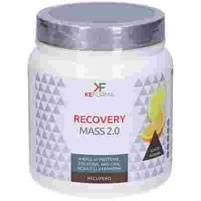 RECOVERY MASS POLVERE 360 G