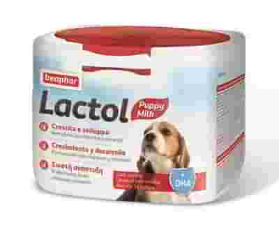 LACTOL LATTE CUCCIOLO POWDER 250 G