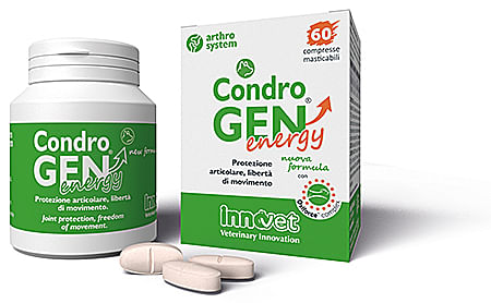 Condrogen Energy 60 Compresse Masticabili