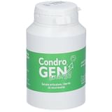 CONDROGEN ENERGY 90 COMPRESSE MASTICABILI