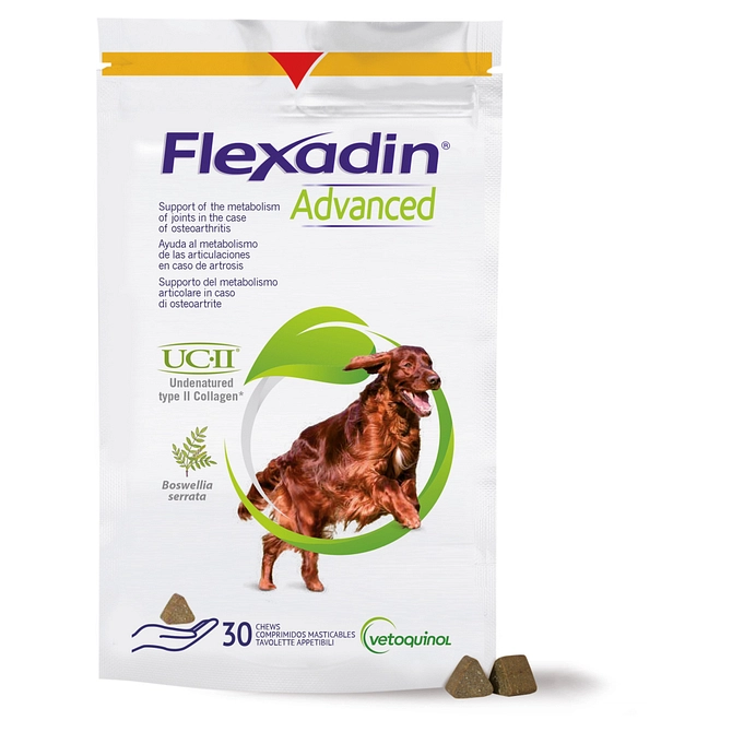 Flexadin Advanced Cane Tutte Le Taglie 30 Tavolette Appetibili