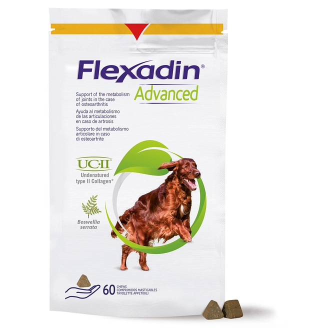 Flexadin Advanced Cane Tutte Le Taglie 60 Tavolette Appetibili