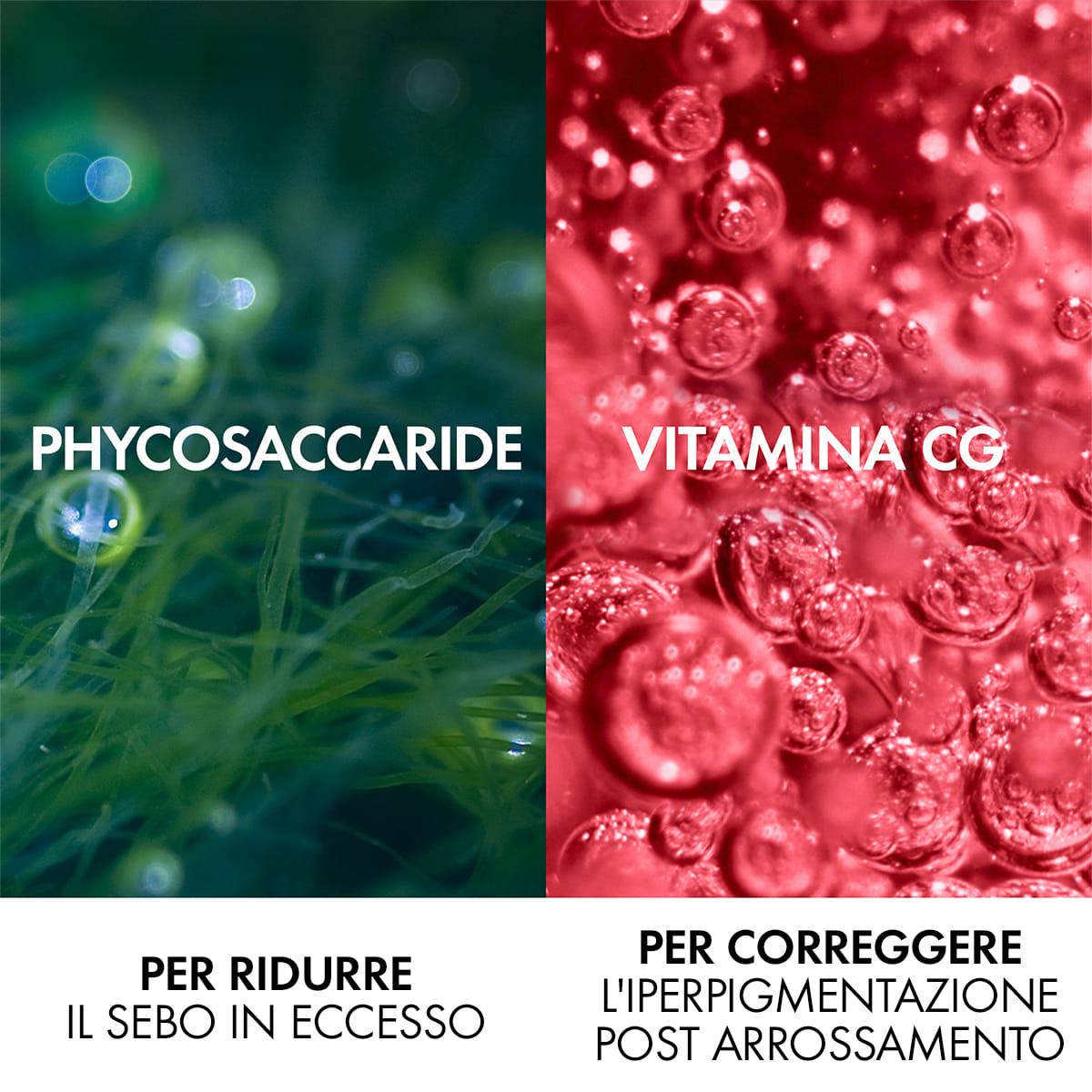 NORMADERM PHYTOSOLUTION TRATTAMENTO 50 ML