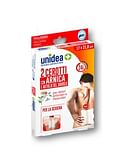 CEROTTO ALL'ARNICA UNIDEA 17X21,8 CM 2 PEZZI