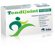 TENDIJOINT FORTE 20 COMPRESSE