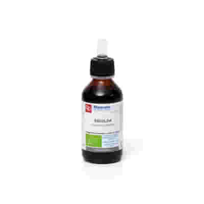 ESCOLZIA TINTURA MADRE 100 ML BIO