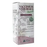 VACCINIUM VITIS IDAEA GEMMODERIVATO 50 ML