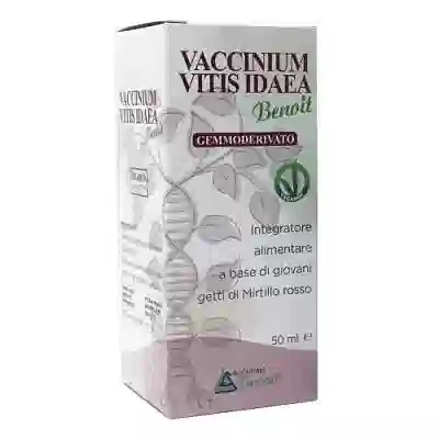 VACCINIUM VITIS IDAEA GEMMODERIVATO 50 ML