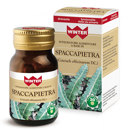 WINTER SPACCAPIETRA 30 COMPRESSE