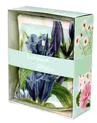 KIT INTRAL & SOLEIL PLAISIR PROTEZIONE 3D