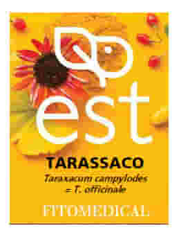 TARASSACO ESTRATTO SECCO 60 TAVOLETTE