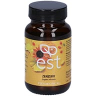 ZENZERO ESTRATTO SECCO 60 TAVOLETTE