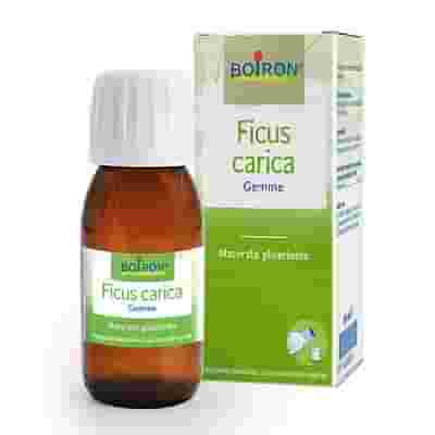 FICUS CARICA BOIRON MACERATO GLICERICO 60 ML