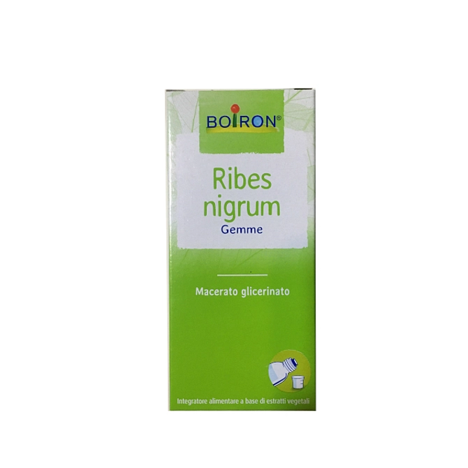 Ribes Nigrum Macerato Glicerico 60 Ml Int