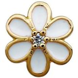 BJT980 ORECCHINI LADY BUG 6 STAINLESS STEEL