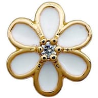 BJT980 ORECCHINI LADY BUG 6 STAINLESS STEEL