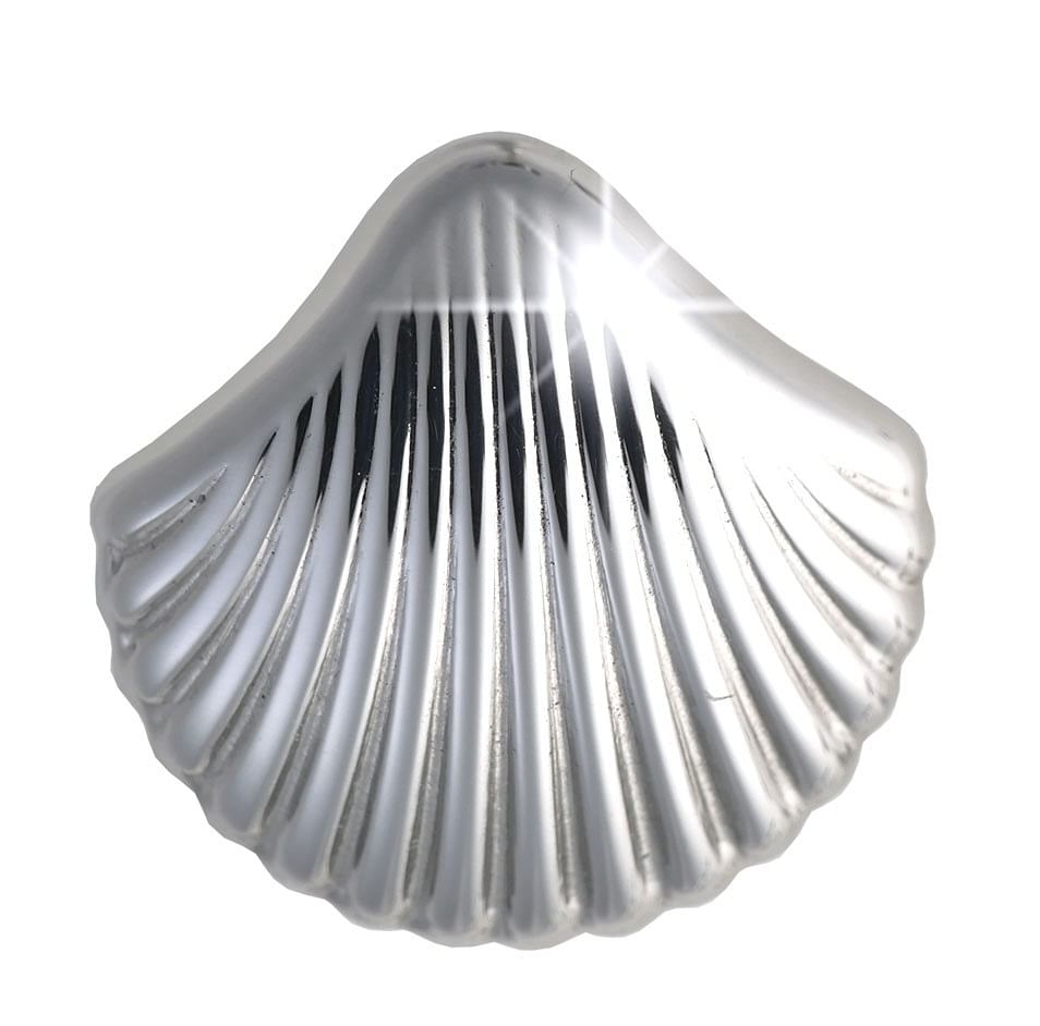 Bjt982 Orecchini Sea Shell Stainless Steel