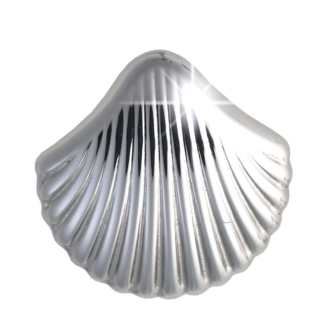 Bjt982 Orecchini Sea Shell Stainless Steel