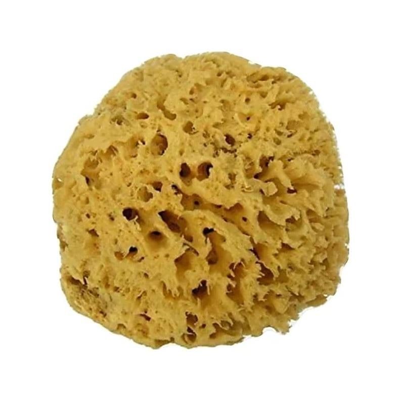 MOOD SPUGNA MAR MEDITERRANEO ARCIPELAGO GREZZA 9/10CM