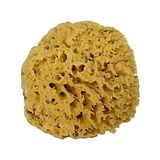 MOOD SPUGNA MAR MEDITERRANEO ARCIPELAGO GREZZA 9/10CM