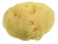 MOOD SPUGNA MAR MEDITERRANEO FINE DAMA 10CM