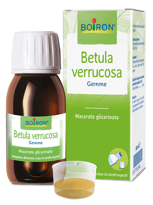 Betula Verruco Boiron Macerato Glicerico 60 Ml