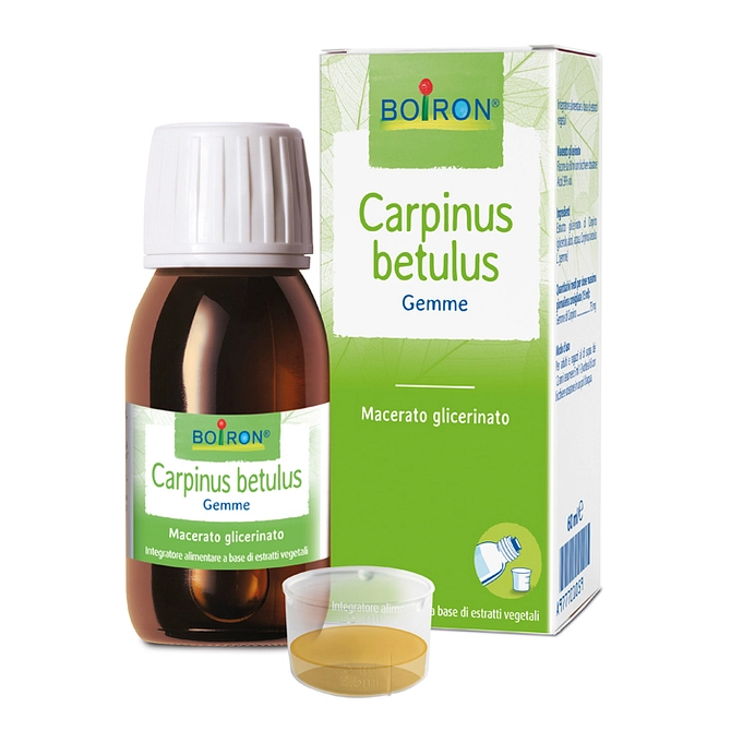 Carpinus Betulus Macerato Glicerico 60 Ml Int
