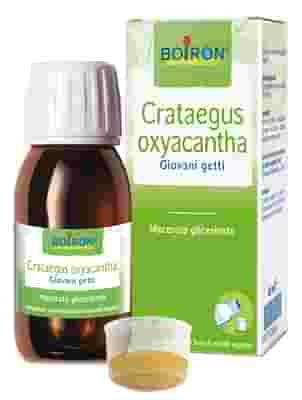 CRATAEGUS BOIRON MACERATO GLICERICO 60 ML