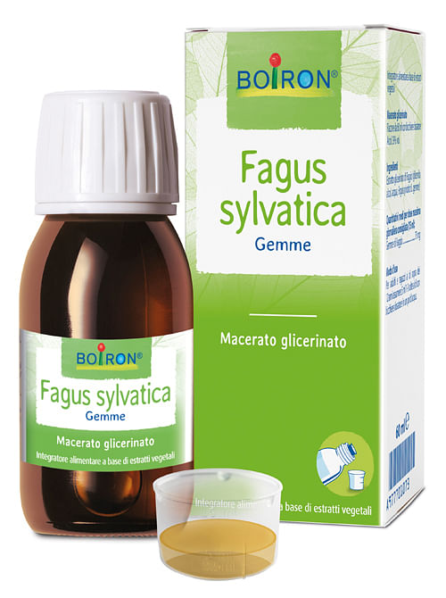 Fagus Sylvatica Boiron Macerato Glicerico 60 Ml