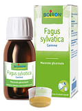 FAGUS SYLVATICA BOIRON MACERATO GLICERICO 60 ML