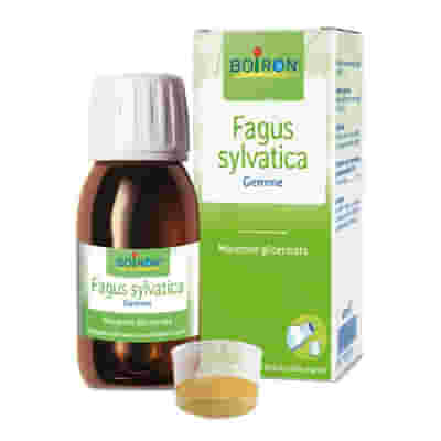 FAGUS SYLVATICA BOIRON MACERATO GLICERICO 60 ML