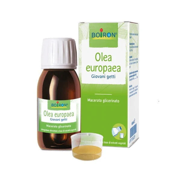 OLEA EUROPAEA BOIRON MACERATO GLICERICO 60 ML