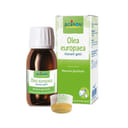 OLEA EUROPAEA BOIRON MACERATO GLICERICO 60 ML