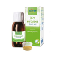 OLEA EUROPAEA BOIRON MACERATO GLICERICO 60 ML
