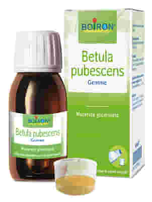 BETULA PUBESC BOIRON MACERATO GLICERICO 60 ML