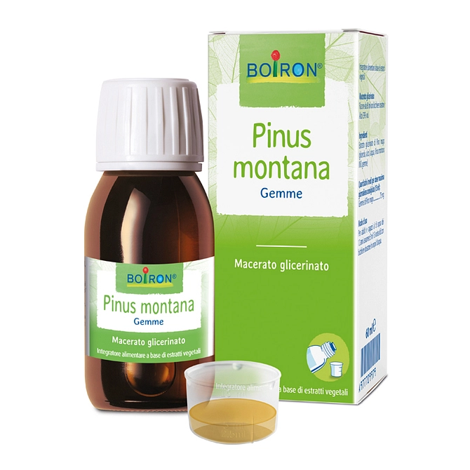 Pinus Montana Macerato Glicerico 60 Ml Int