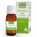 VACCINIUM VITIS MACERATO GLICERICO 60 ML