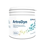 ARTRODYN 60 PORZIONI 275 G