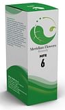 MFR 6 MERIDIAN FLOWERS REMEDY GOCCE 30 ML