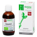 SEQUOIA MACERATO GLICERICO 50 ML BIO