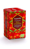 INFUSO IN FILTRO MELA CANNELLA BIO 1 PEZZO
