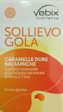 VEBIX NUTRIENTS SOLLIEVO GOLA 36 PASTIGLIE BALSAMICHE