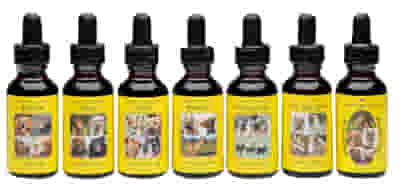 TERRIER SEMPLICITA' E GIOIA - TERRIER SIMPLICITY & JOY GOCCE 30 ML