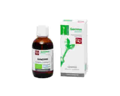 GINEPRO MACERATO GLICERICO 100 ML BIO