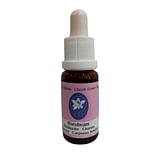 HORBEAN KORTE 15 ML