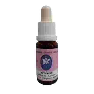 HORBEAN KORTE 15 ML
