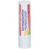 DERMOPLASMINE STICK LABBRA CALENDULA IDRATANTE E LENITIVO 4 G